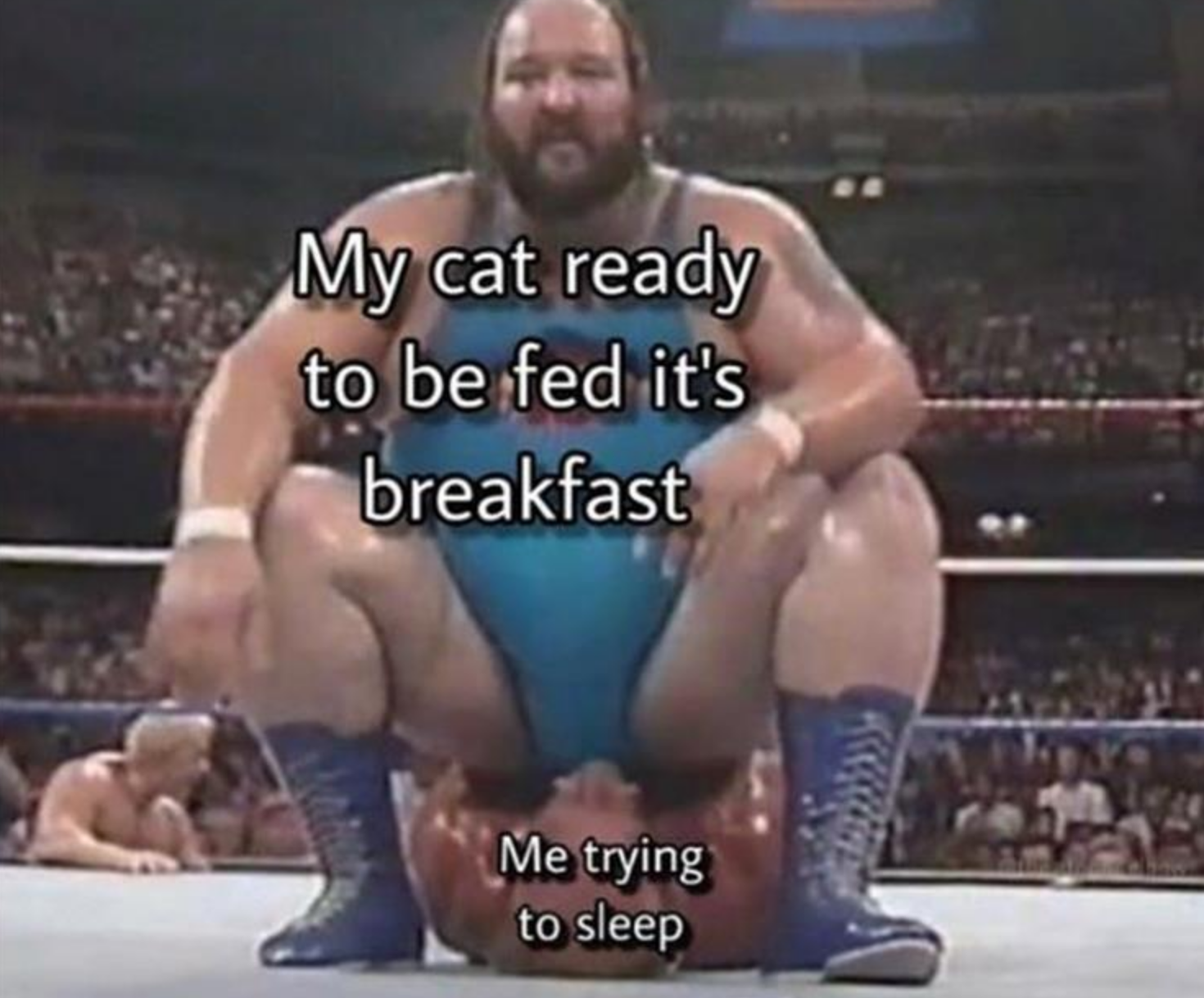 Funny Photos 08-06-2020 #19