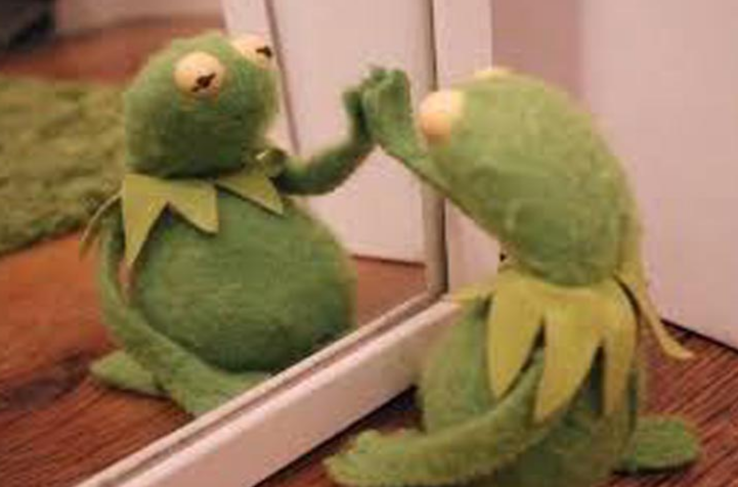 Funny Photos 08-07-2020 #18