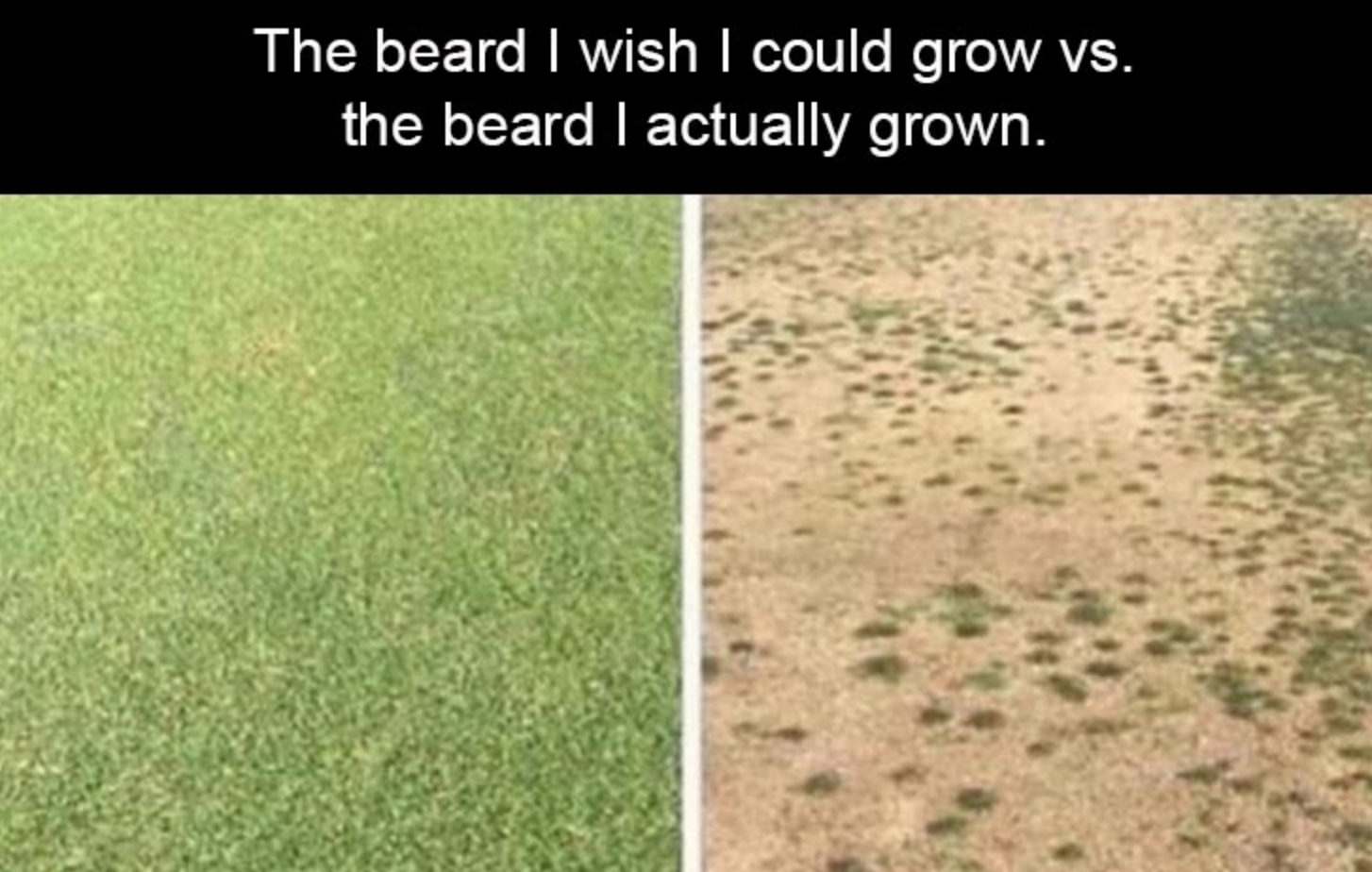 Funny Photos 08-11-2020 #19