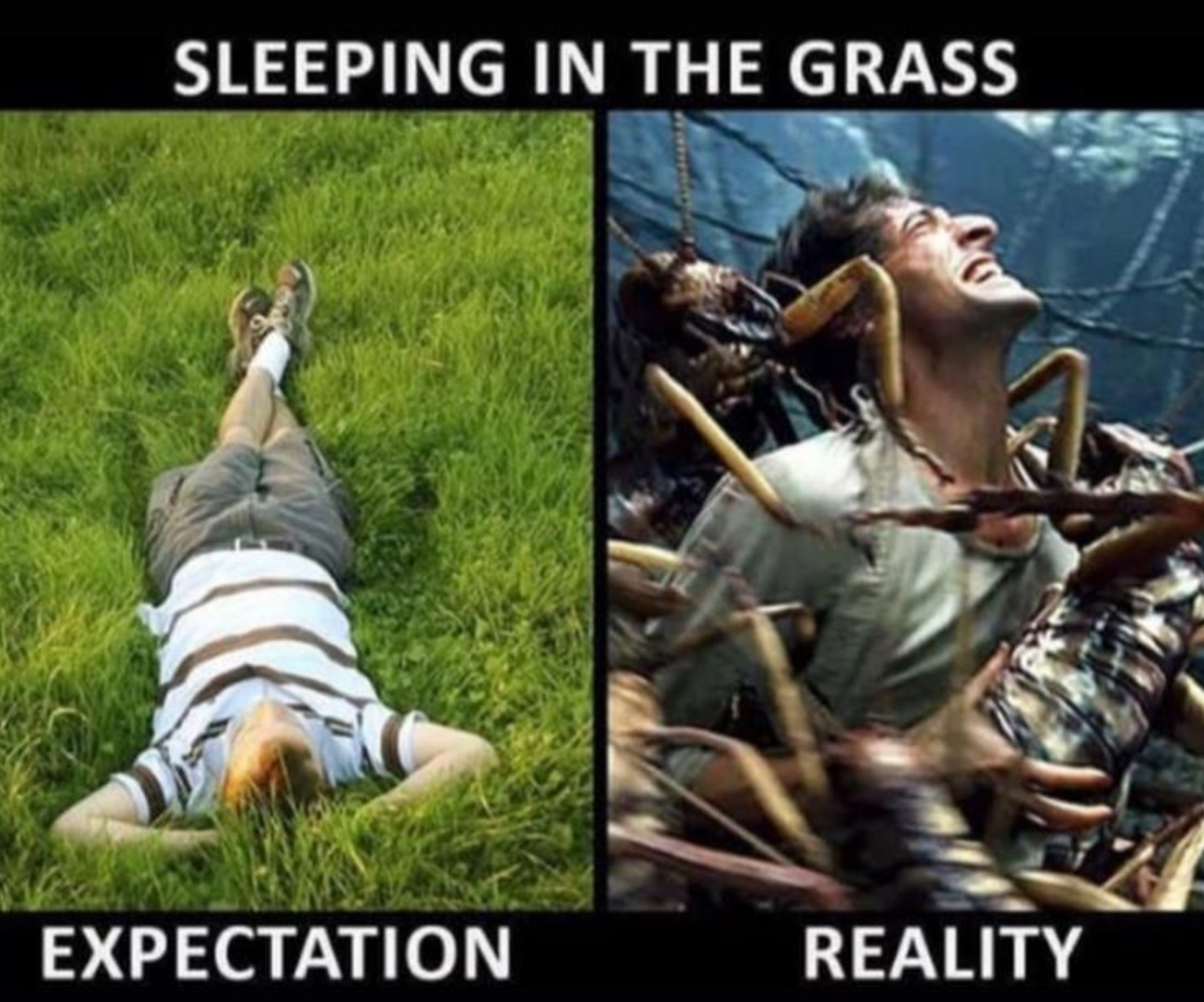 Funny Photos 08-13-2020 #8