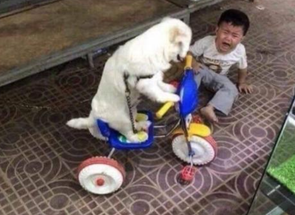 Funny Photos 08-20-2020 #3