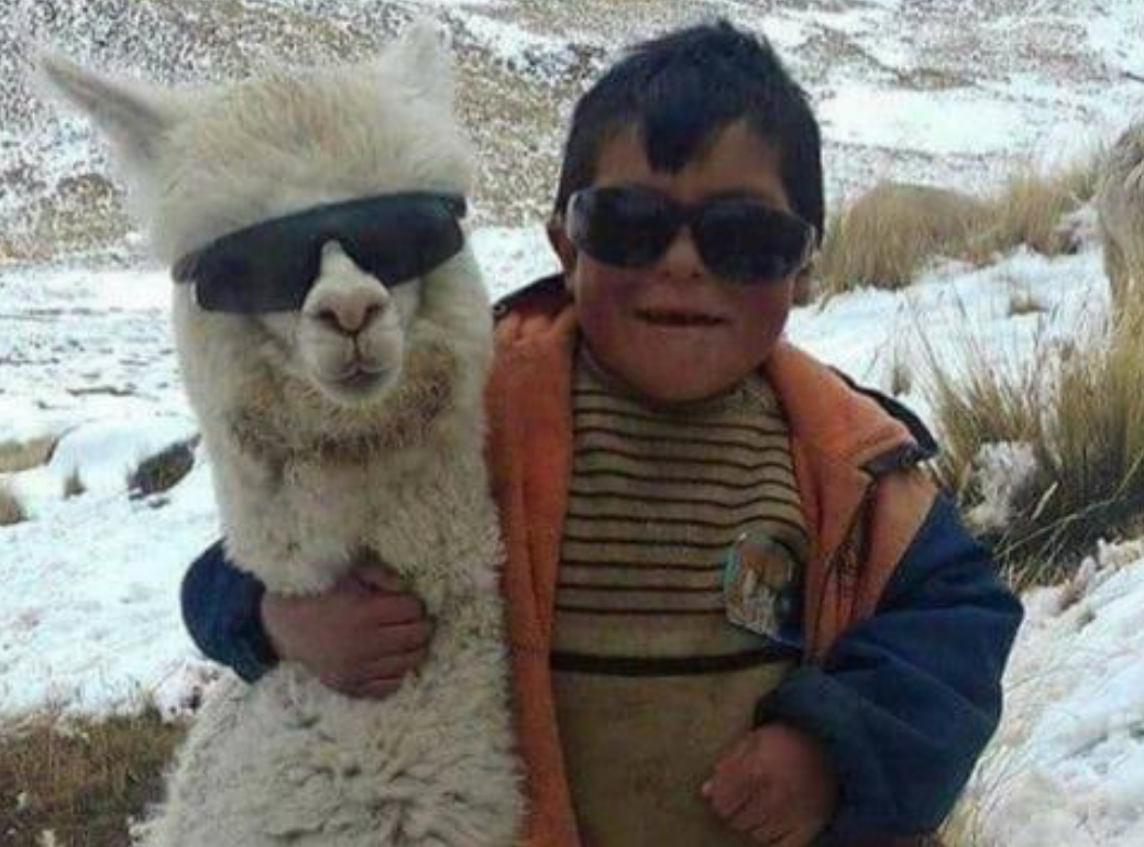 Funny Photos 08-20-2020 #4