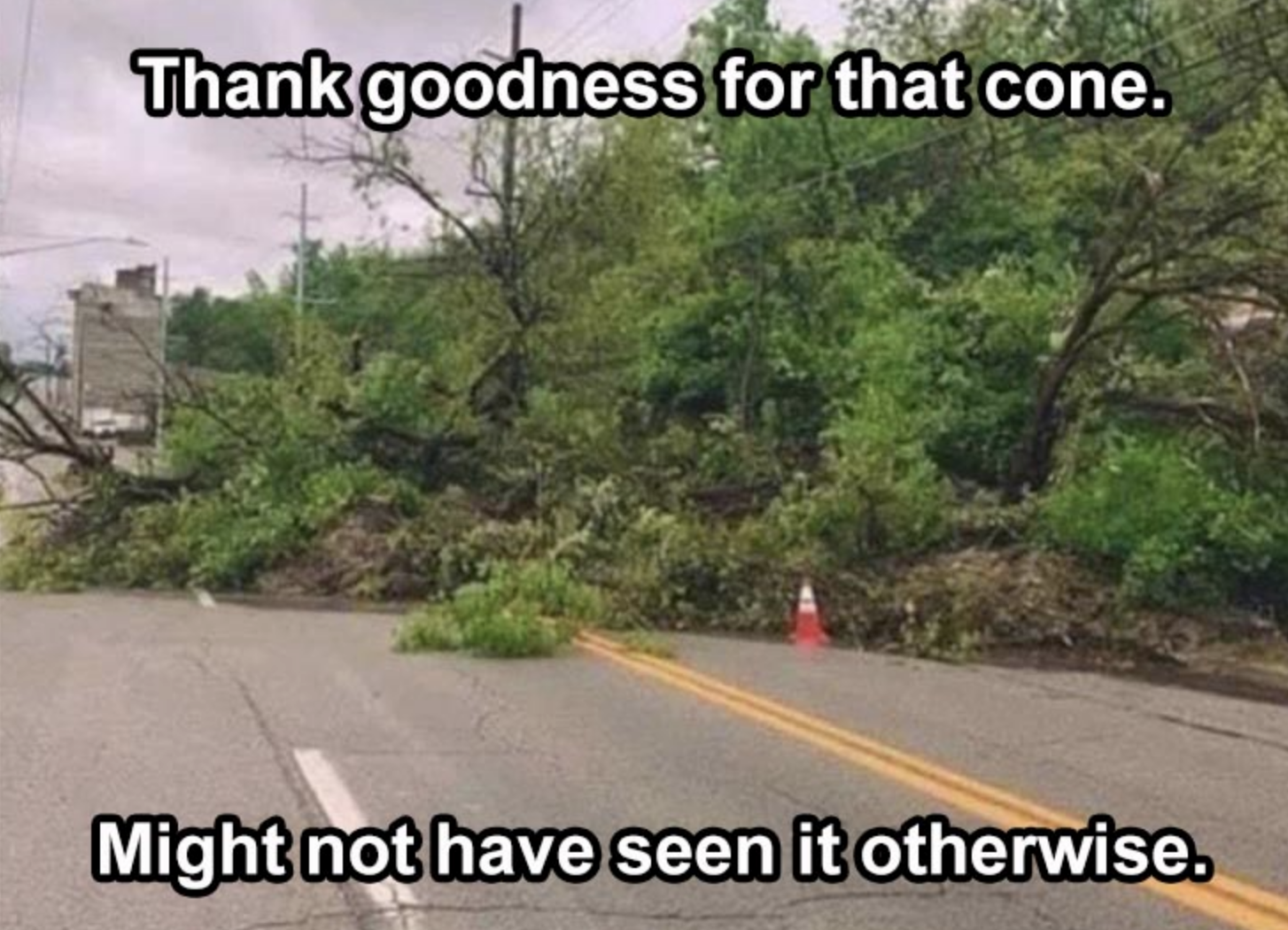 Funny Photos 08-26-2020 #7