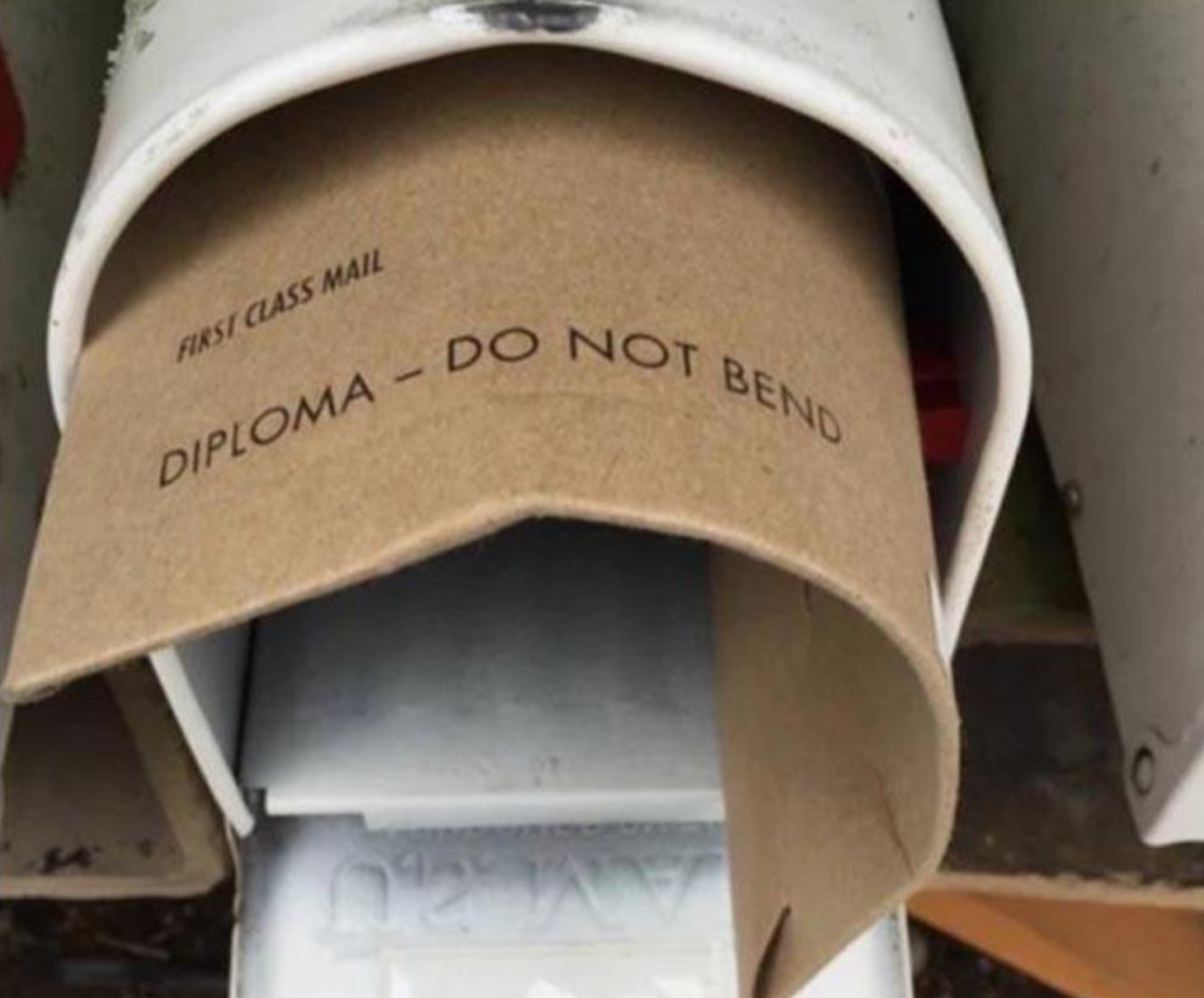 Funny Photos 09-09-2020 #8