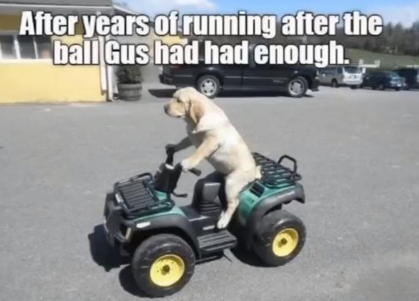 Funny Photos 09-09-2020 #9