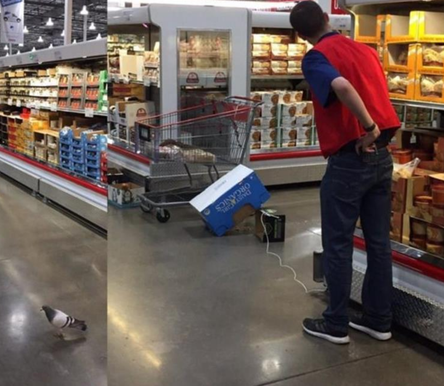 Funny Photos 09-11-2020 #4