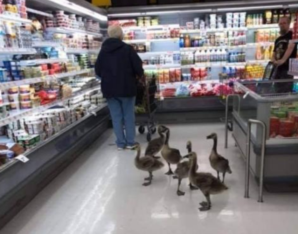 Funny Photos 09-11-2020 #8