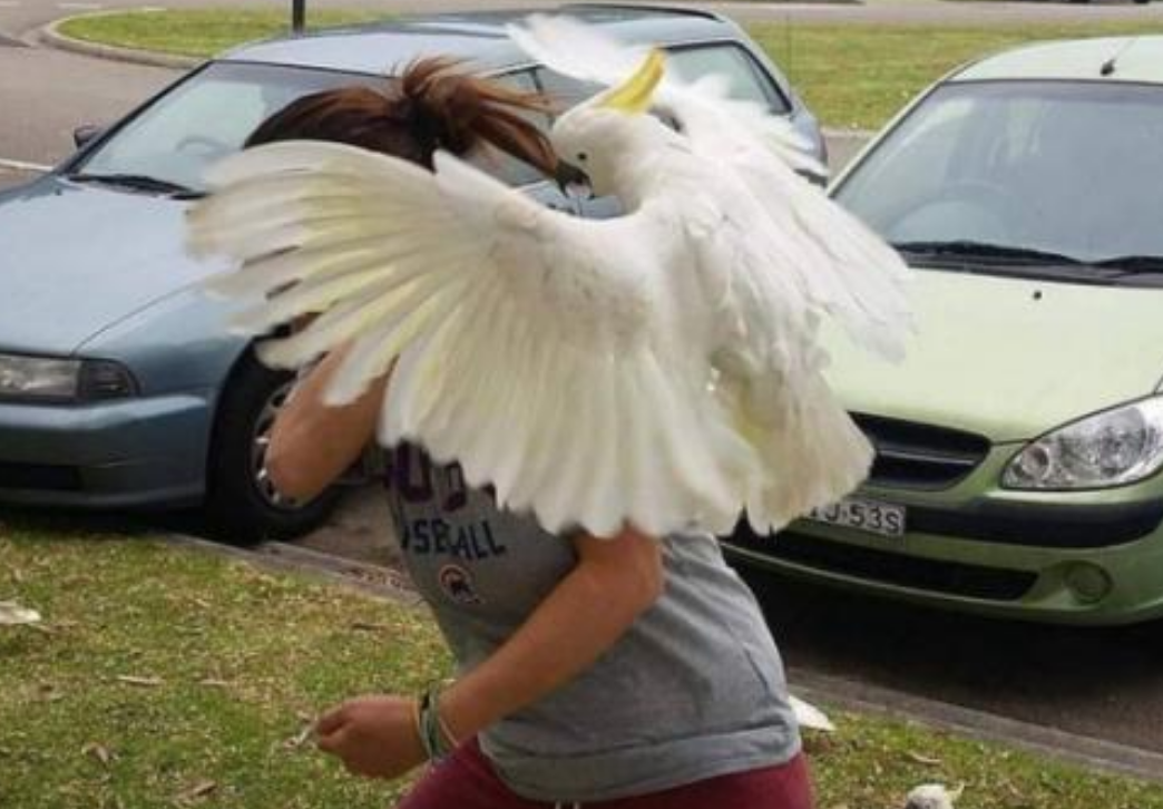 Funny Photos 09-11-2020 #9