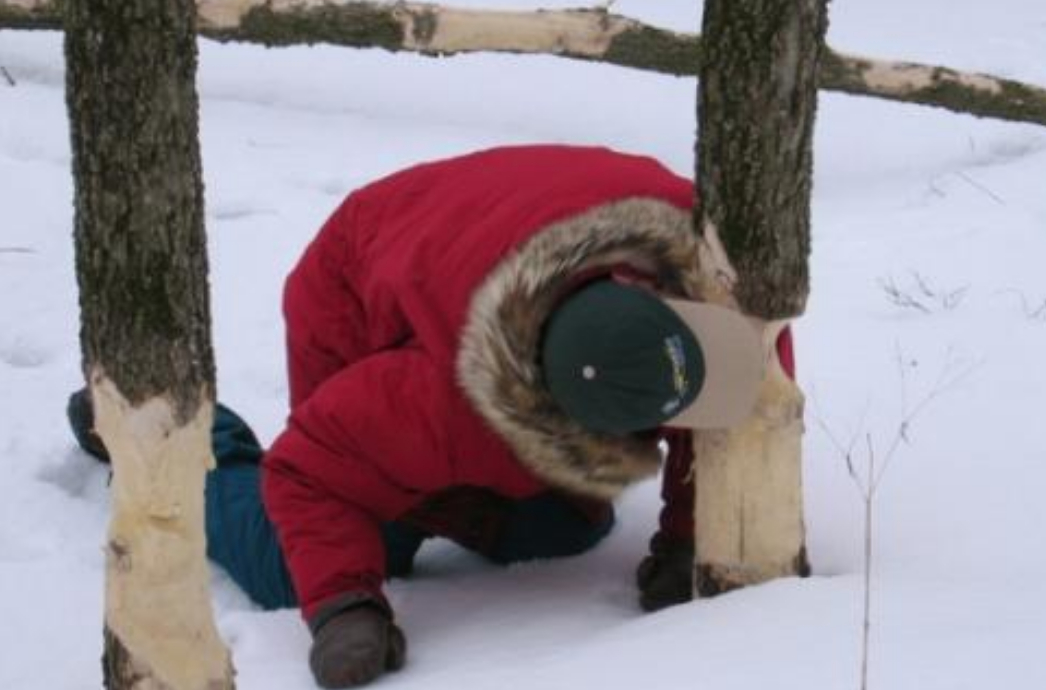 Funny Photos 09-11-2020 #17