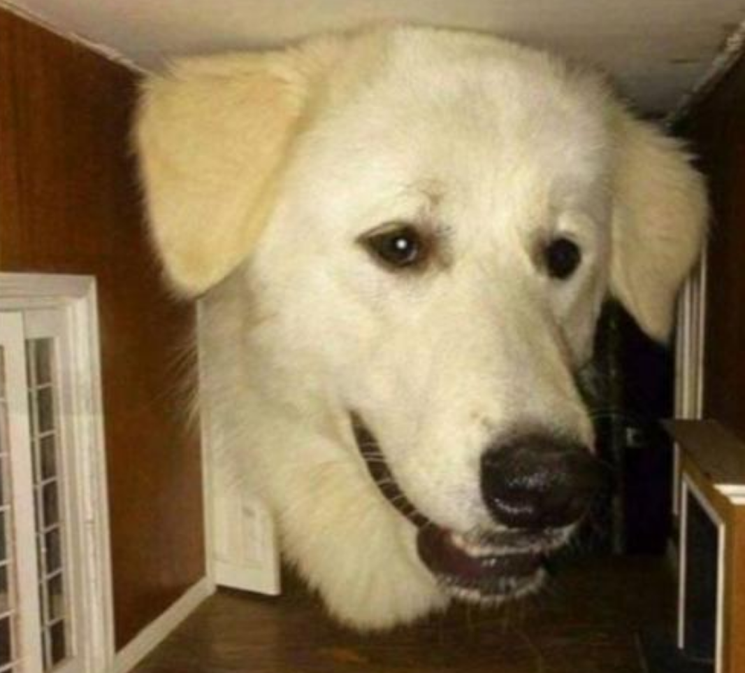 Funny Photos 09-11-2020 #18