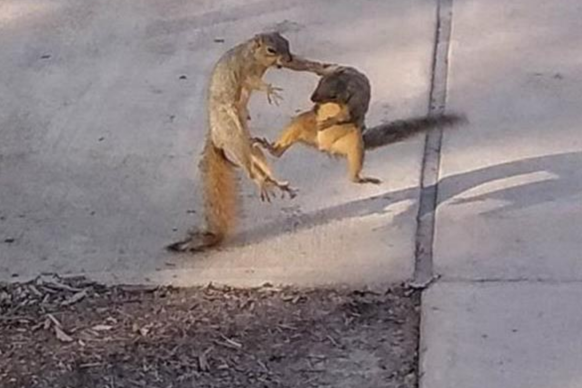 Funny Photos 09-14-2020 #8