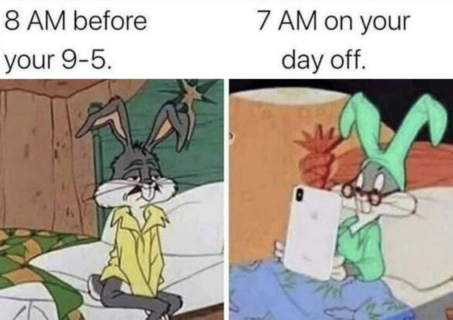 Funny Photos 09-15-2020 #15