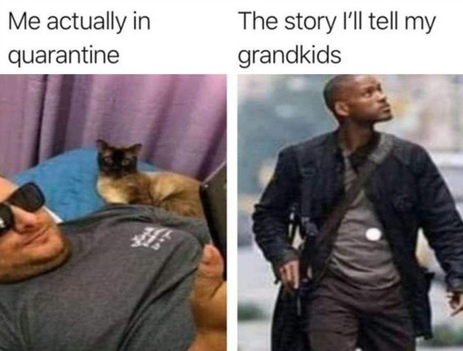 Funny Photos 09-15-2020 #19