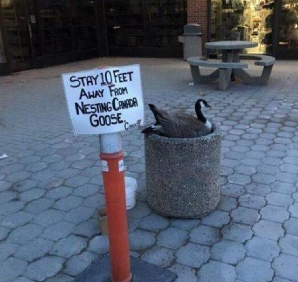 Funny Photos 09-18-2020 #4