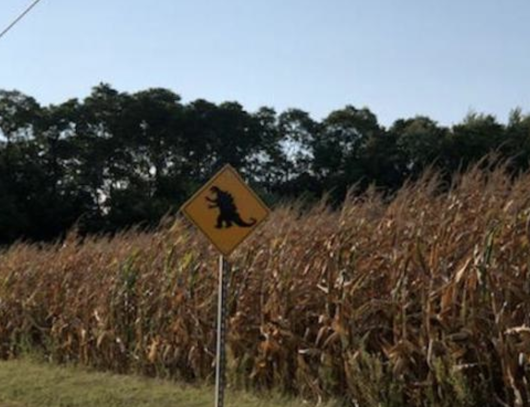 Funny Photos 09-20-2021 #14