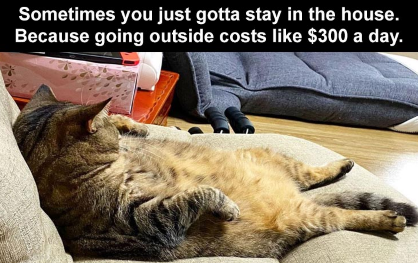 Funny Photos 09-25-2020 #3