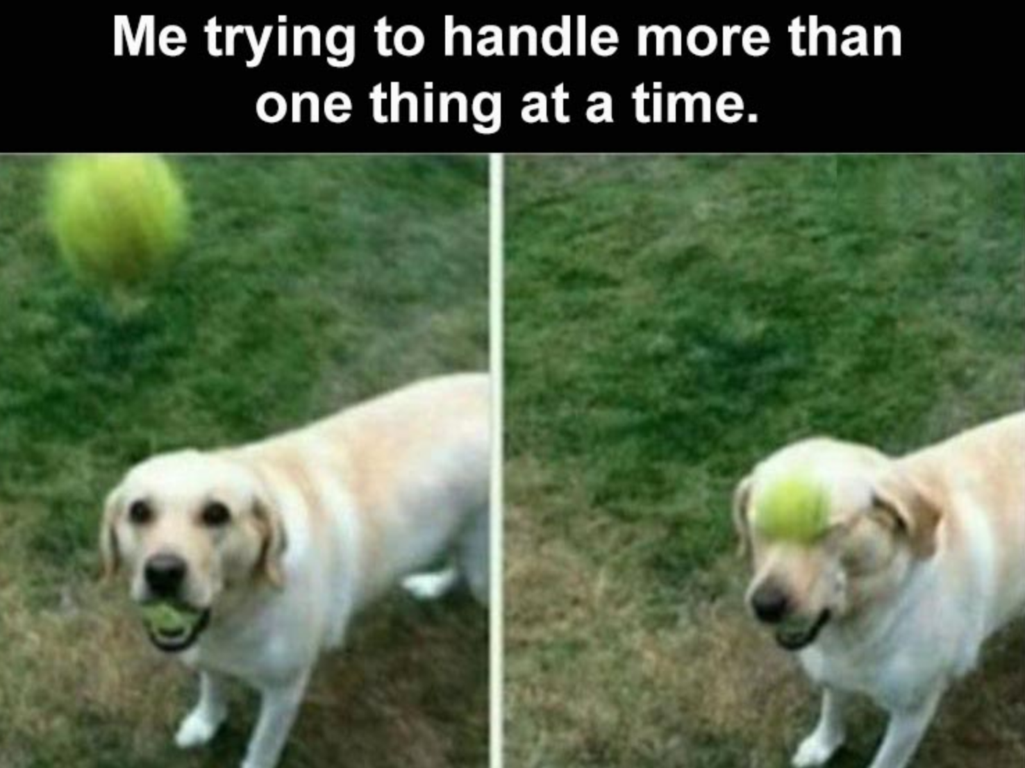 Funny Photos 09-25-2020 #4