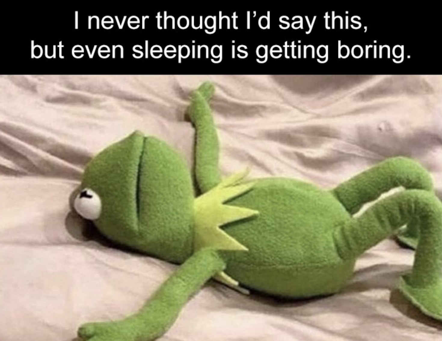 Funny Photos 09-25-2020 #8