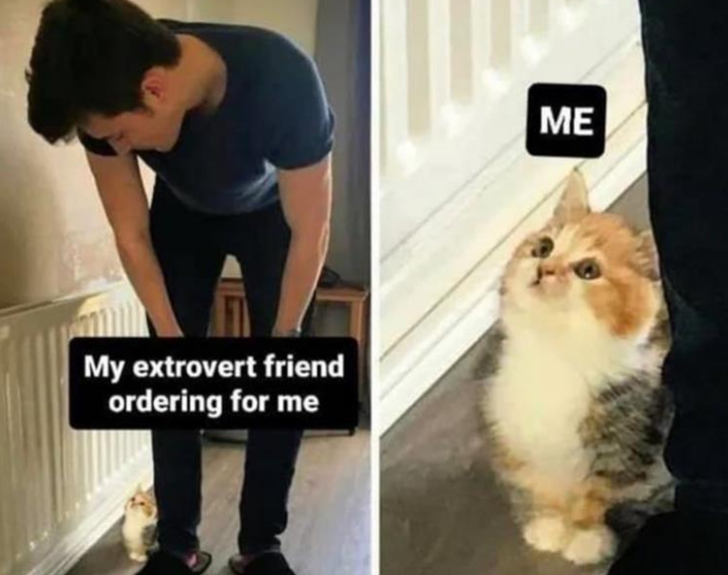 Funny Photos 09-25-2020 #10