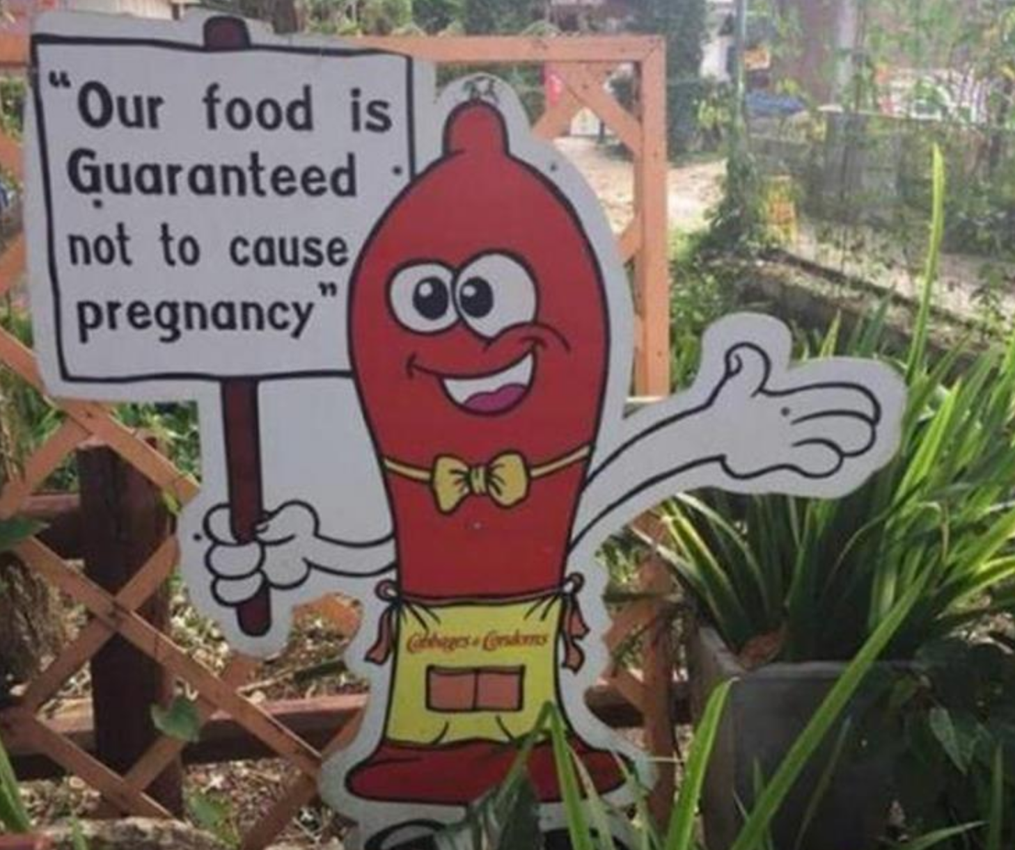 Funny Photos 09-27-2020 #9