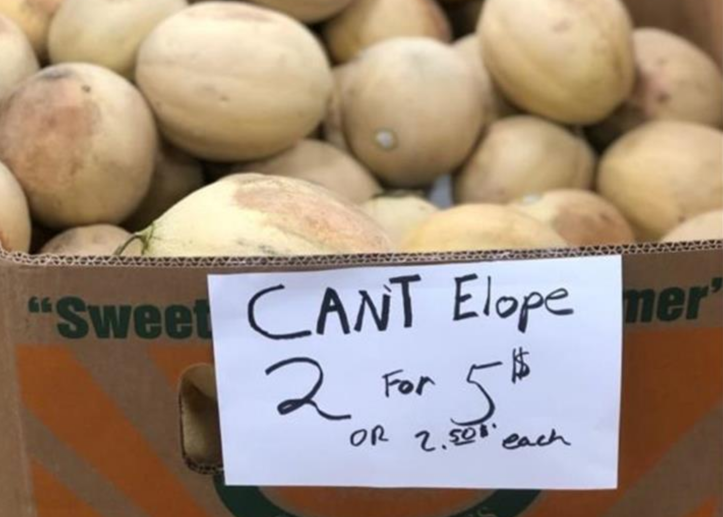 Funny Photos 10-12-2020 #18