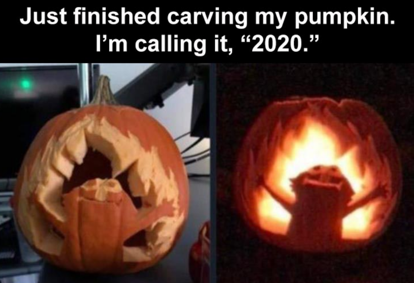 Funny Photos 10-16-2020 #7