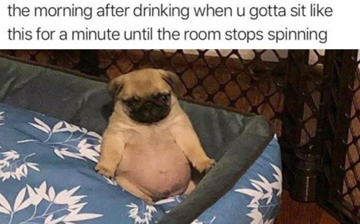 Funny Photos 10-16-2020 #12