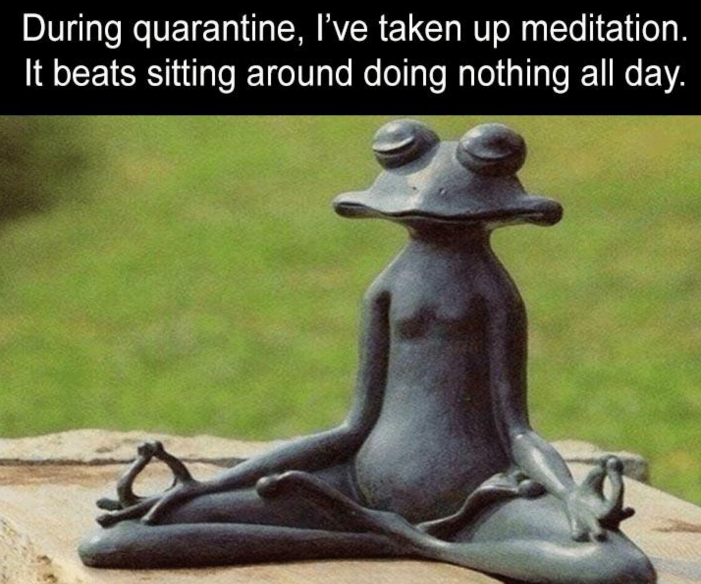 Funny Photos 10-16-2020 #14