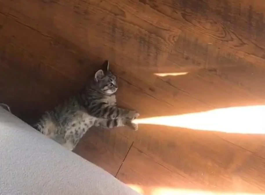 Funny Photos 10-16-2020 #19