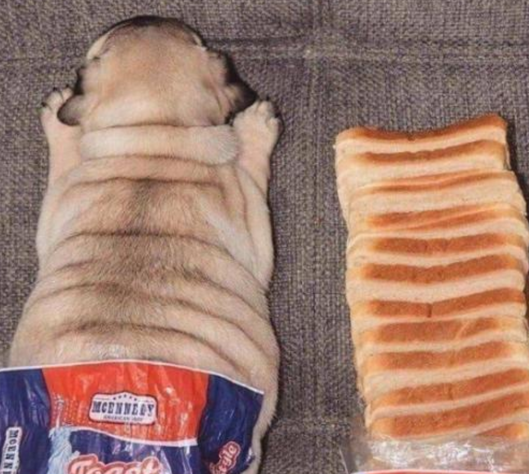 Funny Photos 10-19-2020 #3