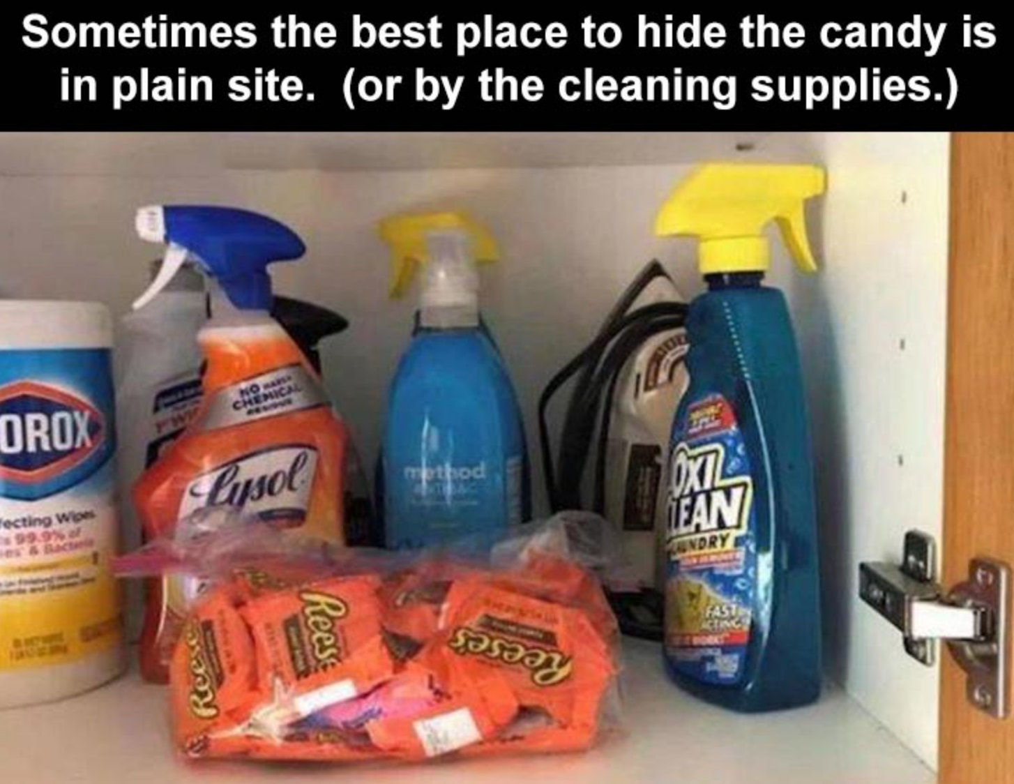 Funny Photos 10-19-2020 #9