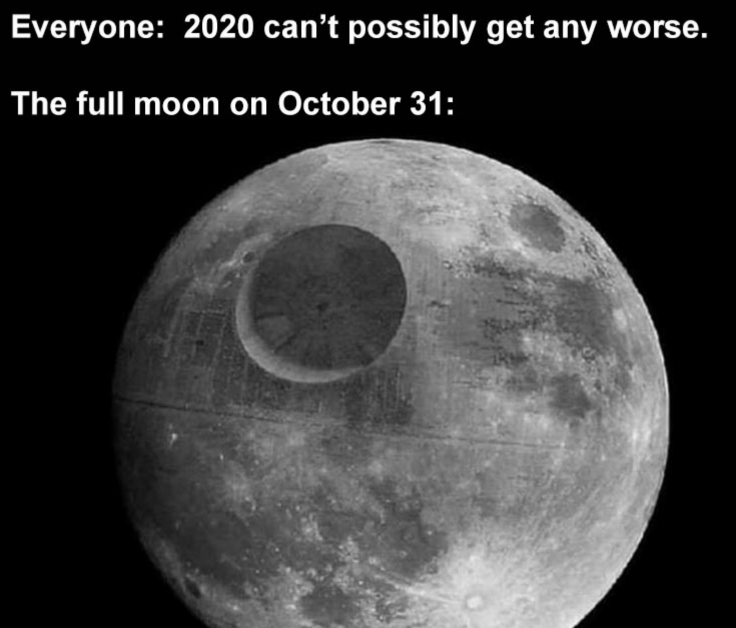 Funny Photos 10-19-2020 #13