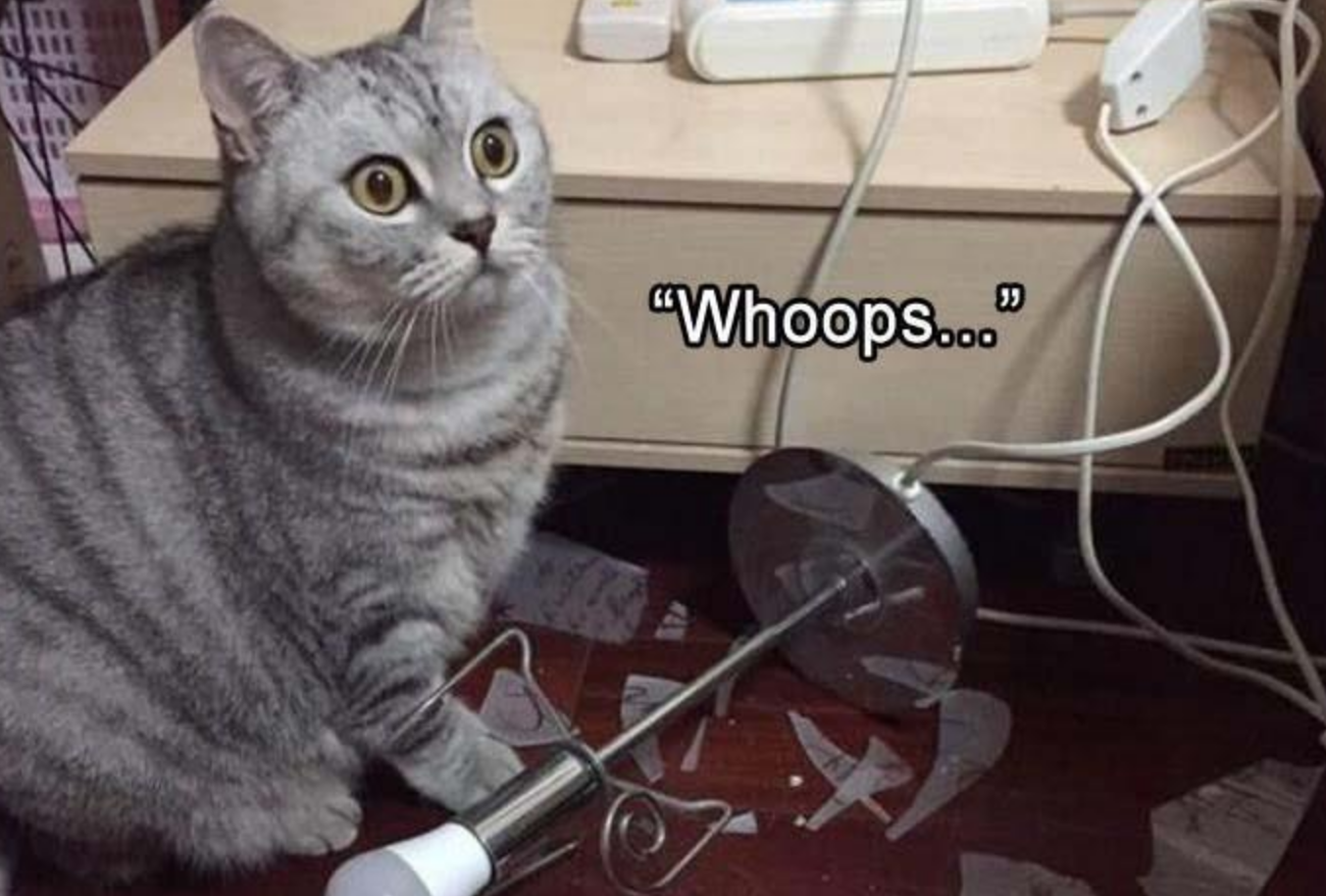 Funny Photos 10-19-2020 #17