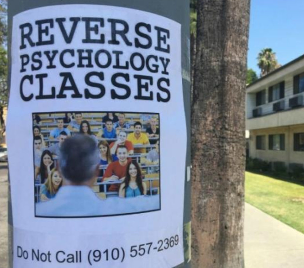 Funny Photos 10-22-2019 #8