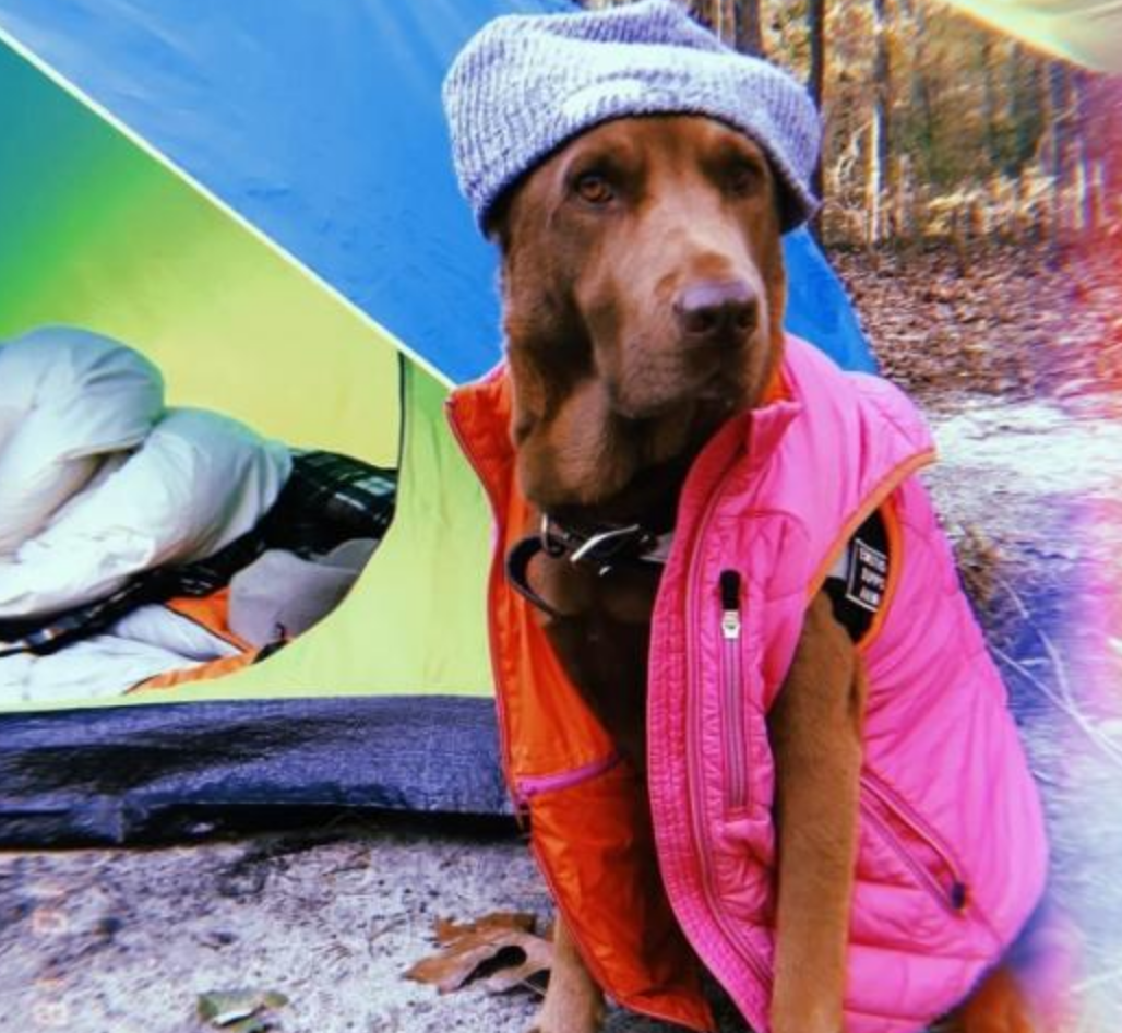 Funny Photos 10-22-2019 #10