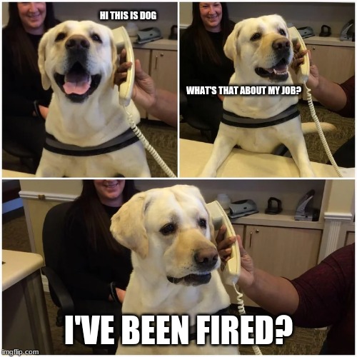 Funny Photos 10-24-2019 #21