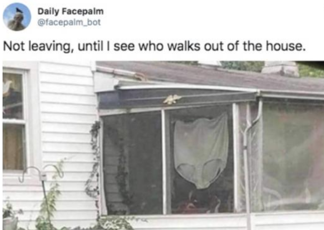 Funny Photos 10-29-2019 #15