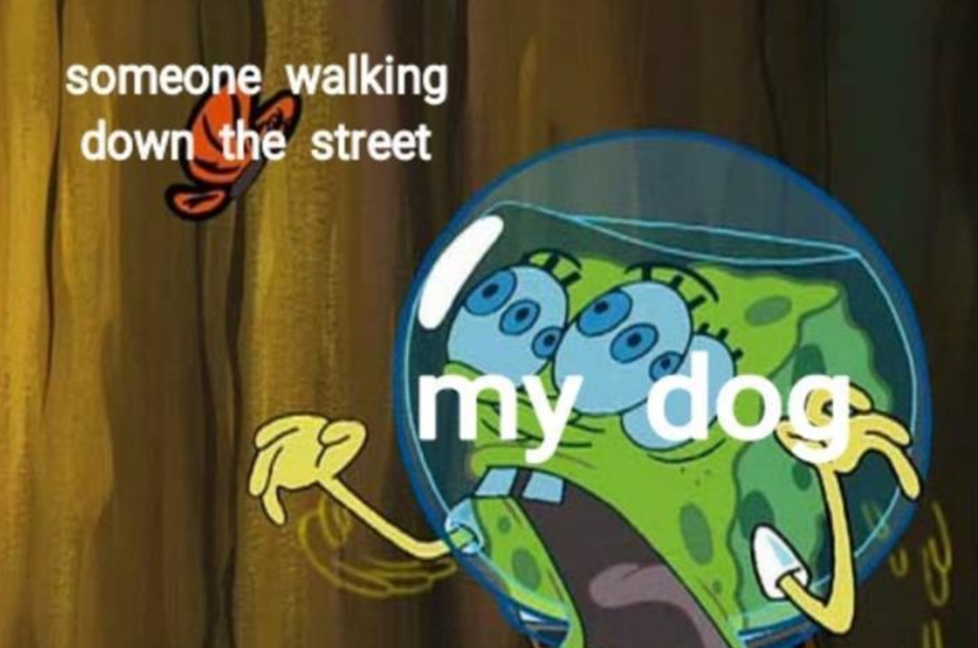 Funny Photos 10-29-2020 #7