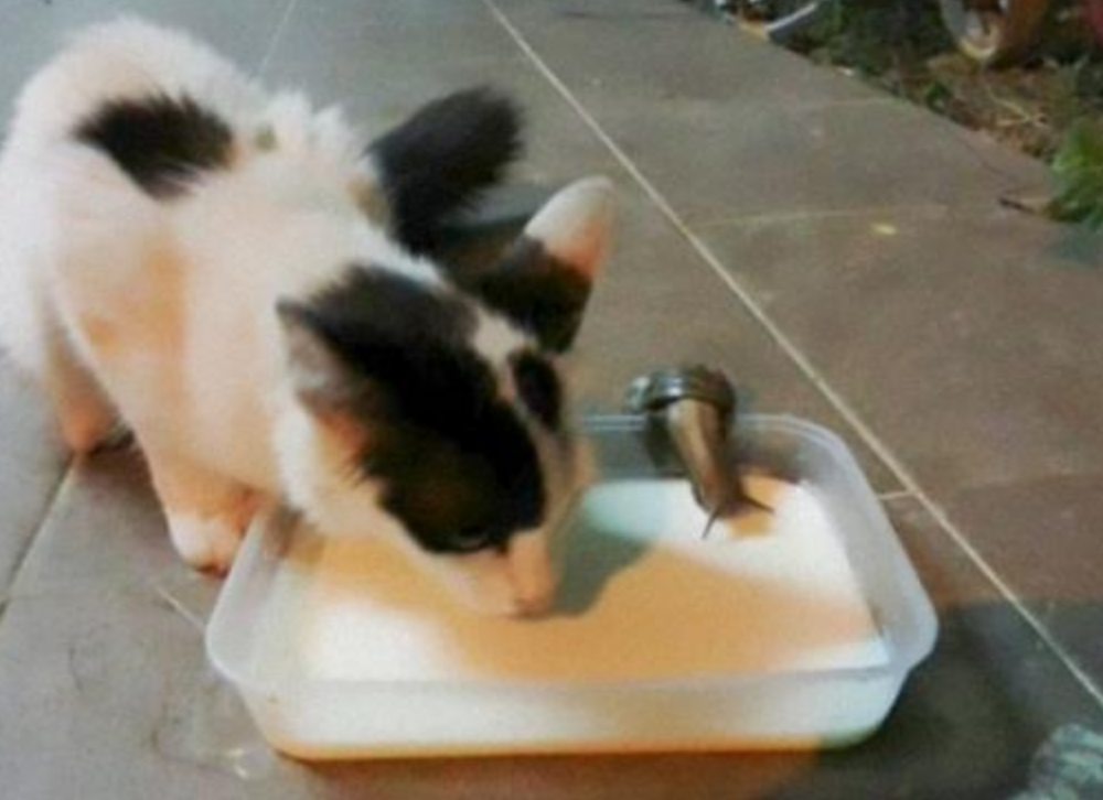 Funny Photos 10-3-2019 #5