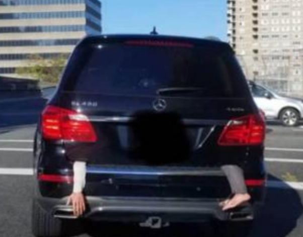 Funny Photos 10-30-2019 #18