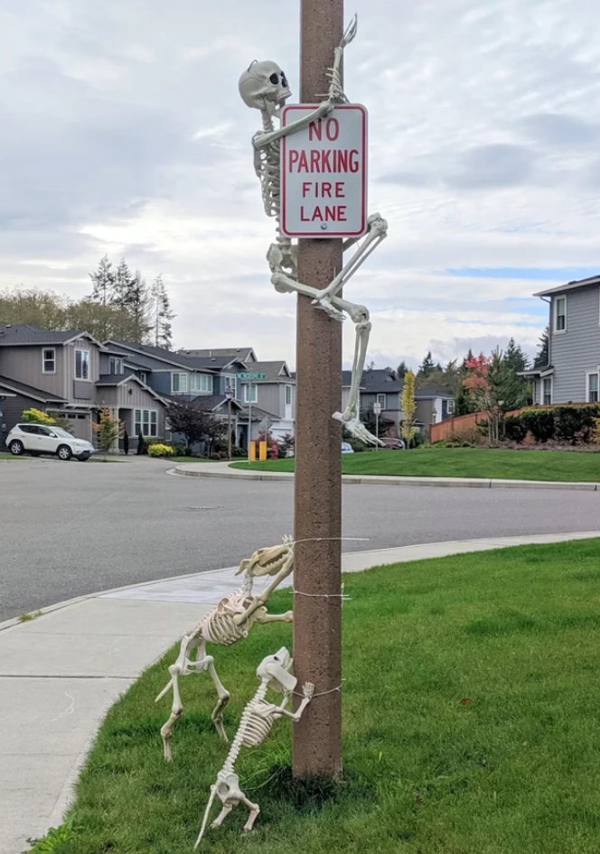 Funny Photos 10-8-2019 #17