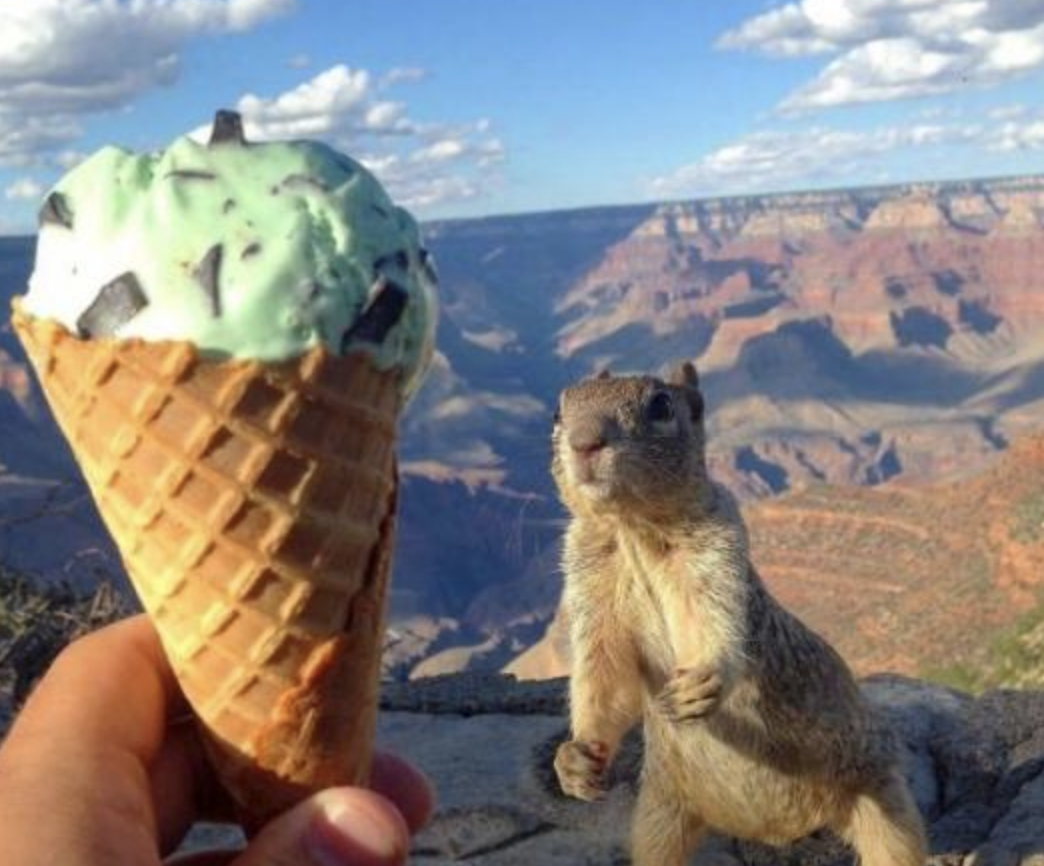 Funny Photos 11-06-2019 #7