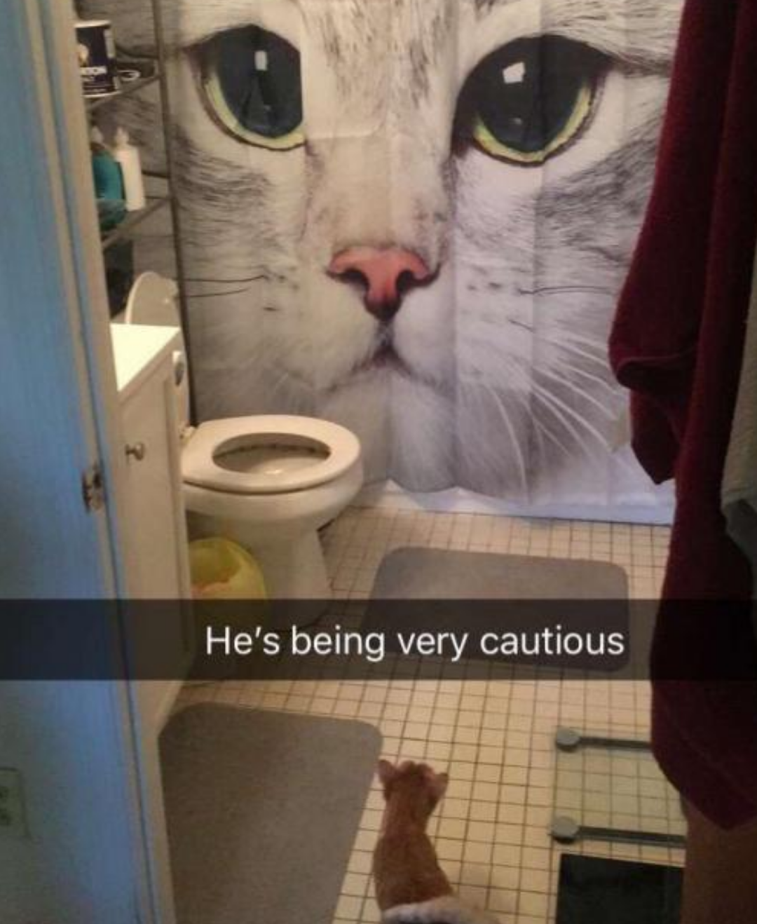 Funny Photos 11-10-2020 #3