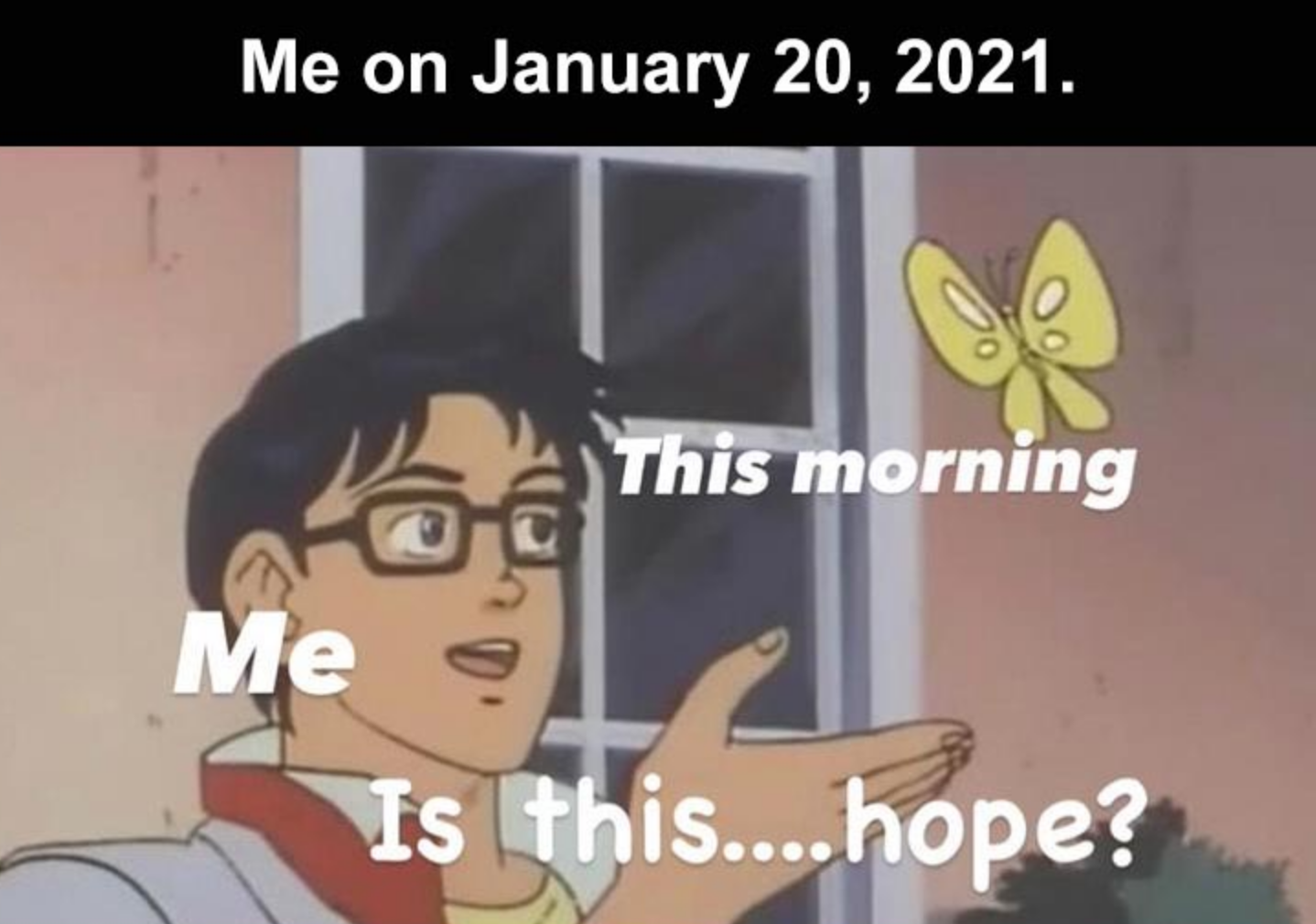 Funny Photos 11-10-2020 #6