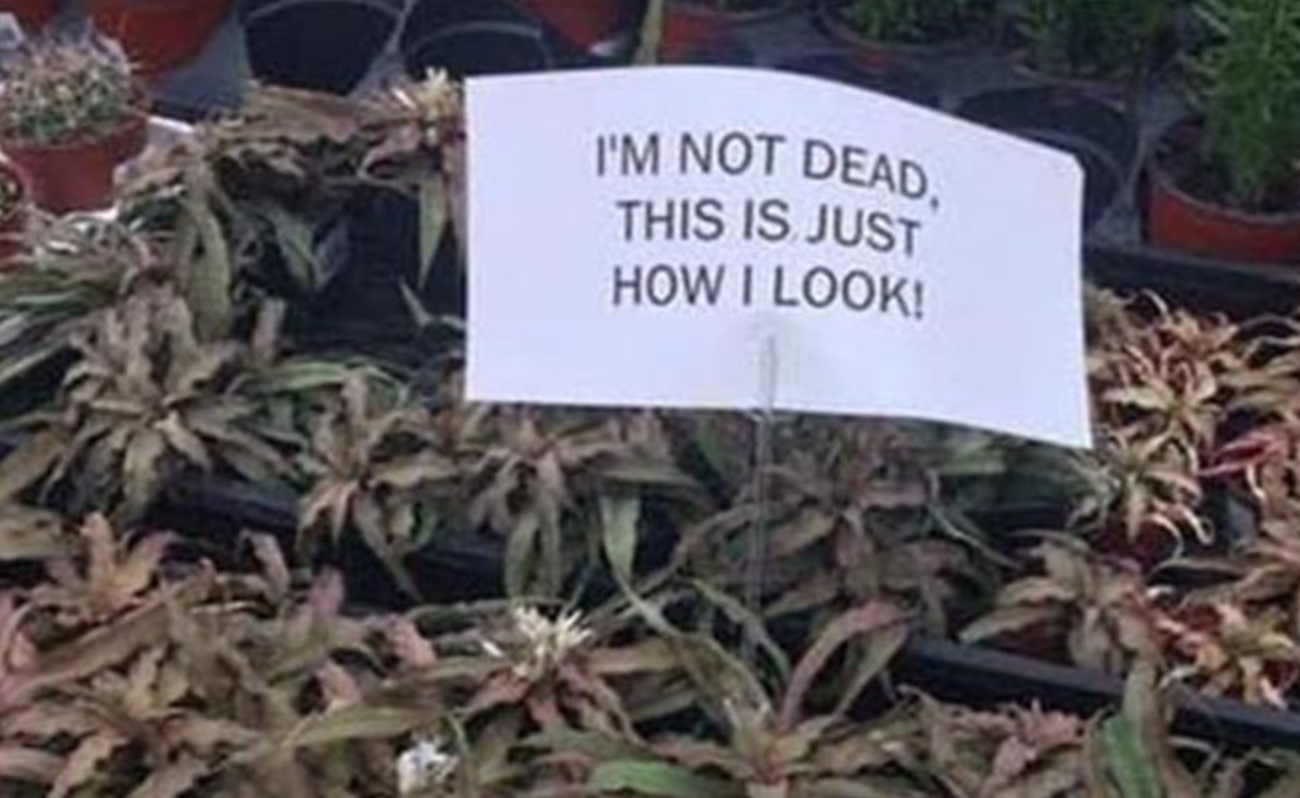 Funny Photos 11-10-2020 #9