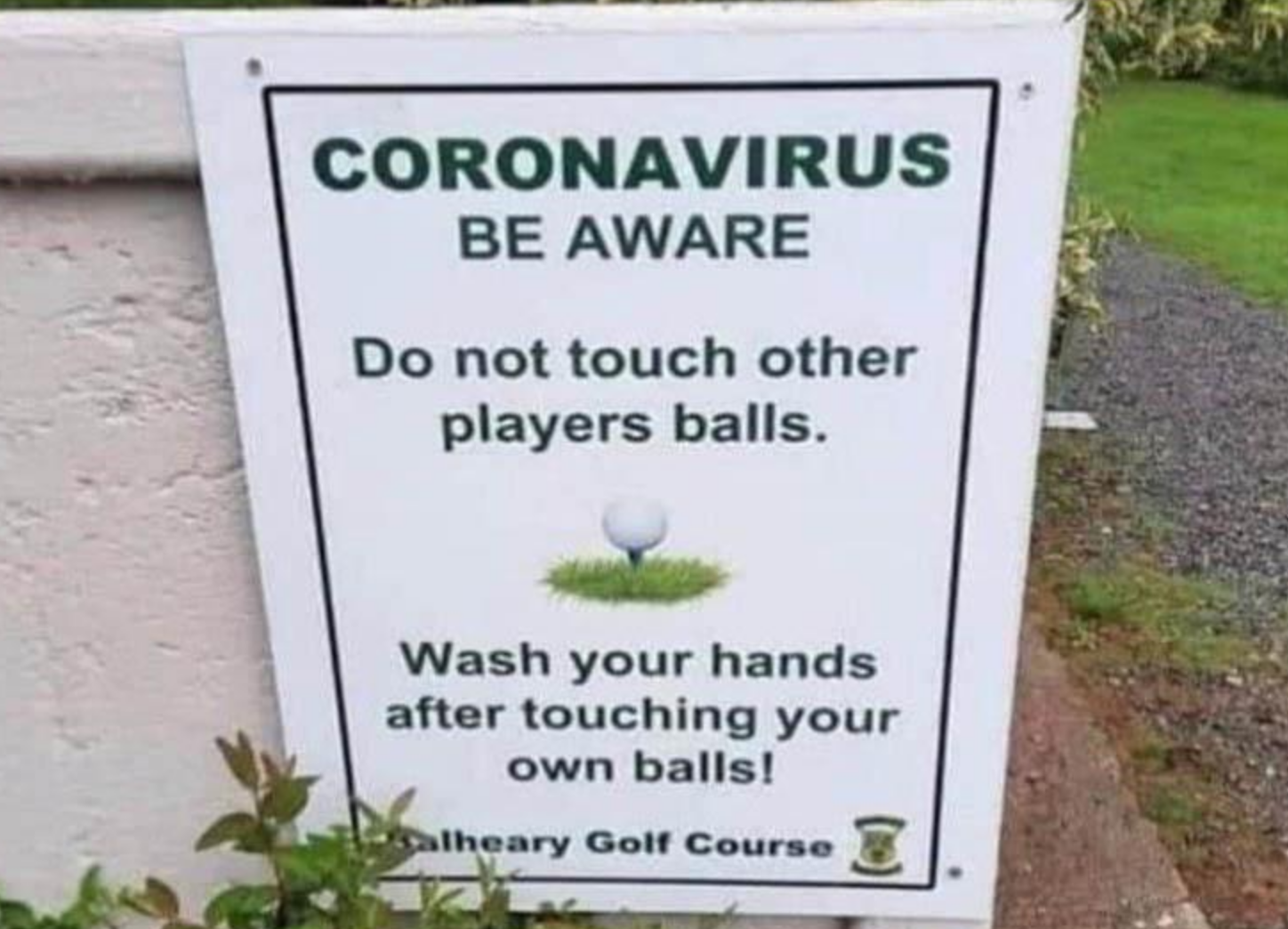 Funny Photos 11-10-2020 #13