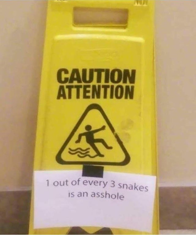 Funny Photos 11-12-2019 #5