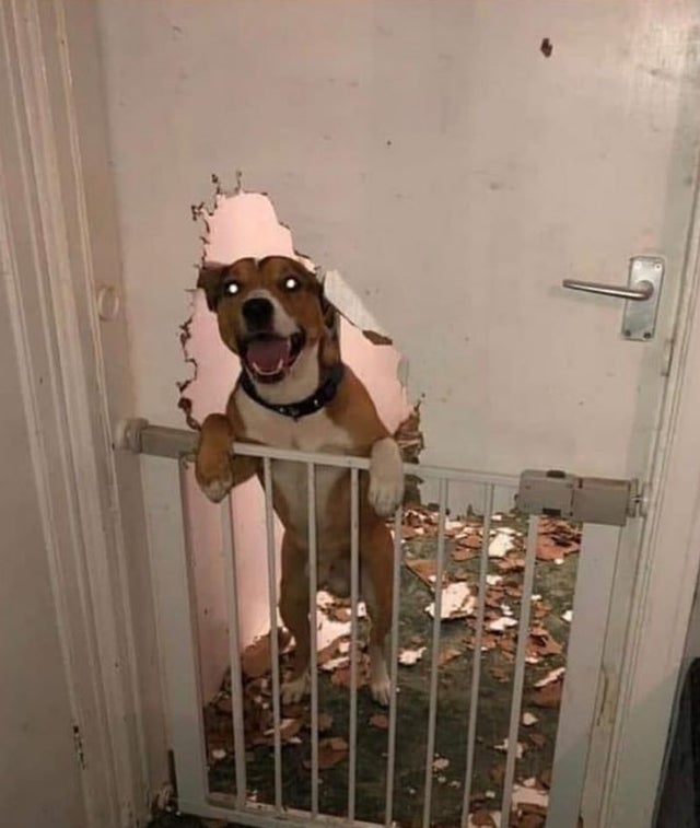 Funny Photos 11-12-2019 #18