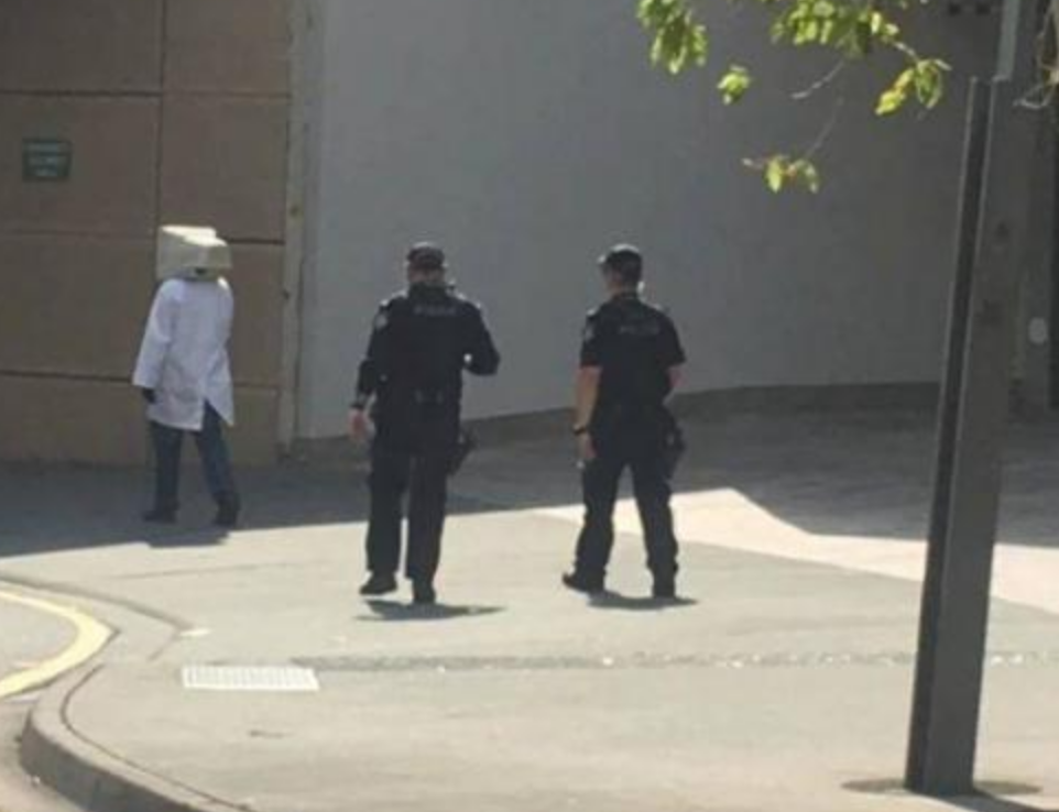 Funny Photos 11-15-2019 #11