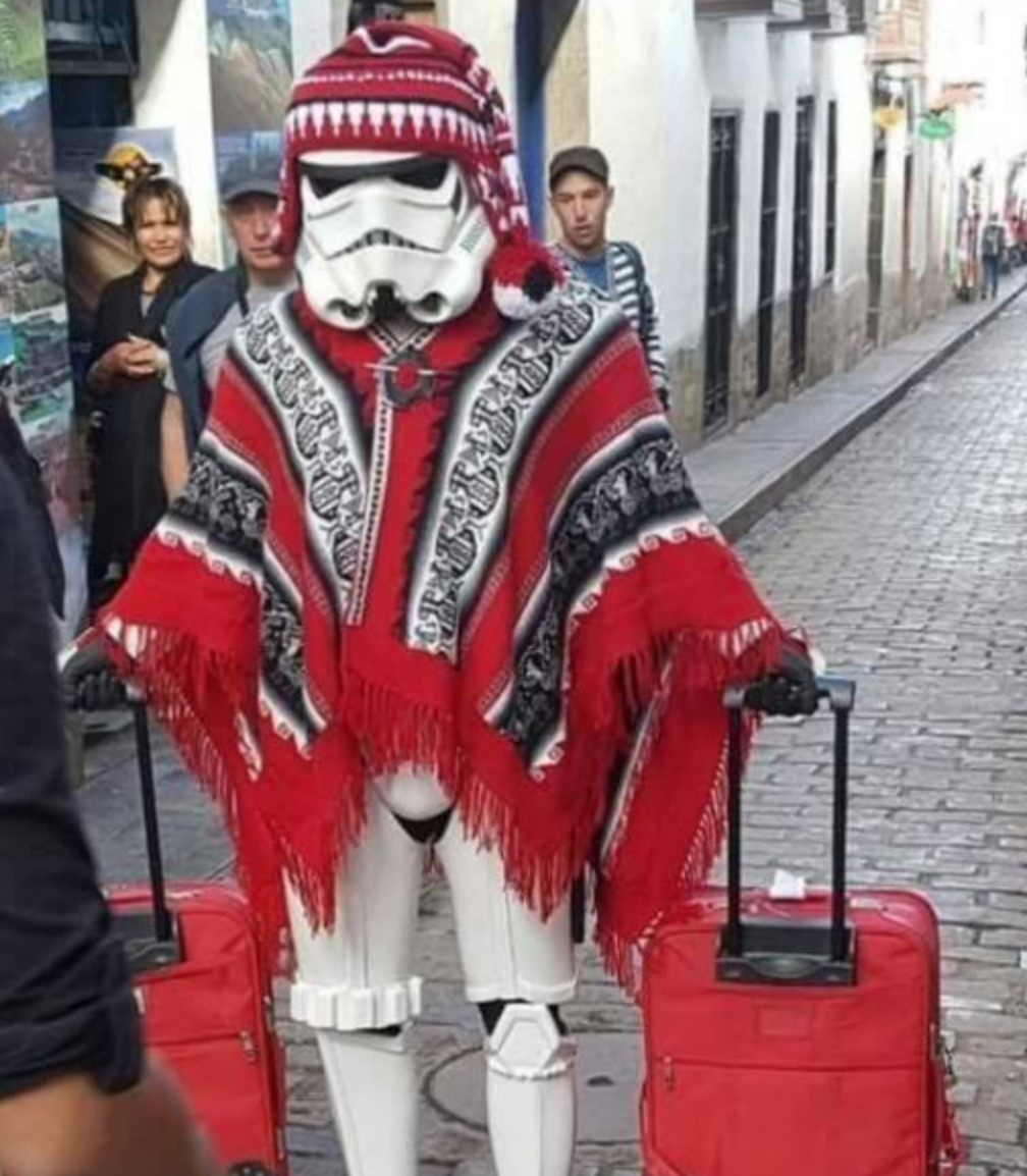 Funny Photos 11-15-2019 #12